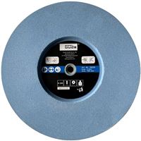 Brusný kotouč 250 x 50 x 12 mm K220 