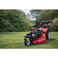 Motorová sekačka na trávu BIG WHEELER 554.2 R TRIKE